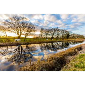 Lais Puzzle - Pferde auf dem Grand Canal, Irland - 2.000 Teile