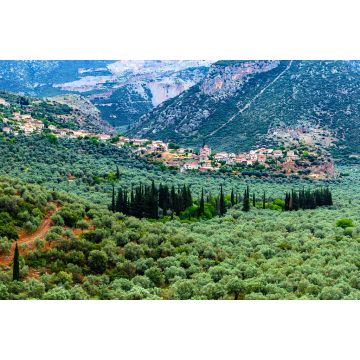 Lais Puzzle - Tal von Amfissa, ist eine Stadt in Phokis, Griechenland, Teil der Gemeinde Delphi - 2.000 Teile