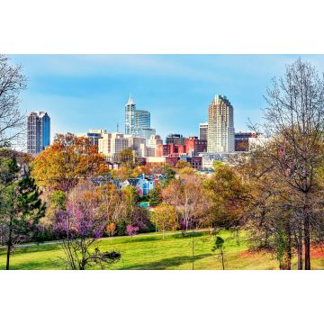 Lais Puzzle - Raleigh, North Carolina - 2.000 Teile