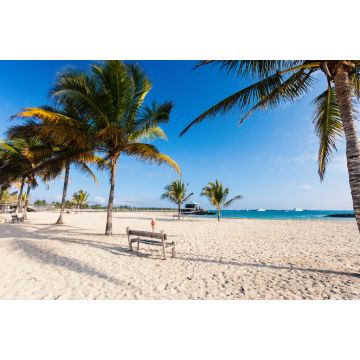 Lais Puzzle - Strand auf der Galapagos-Insel Isabela, Ecuador - 2.000 Teile
