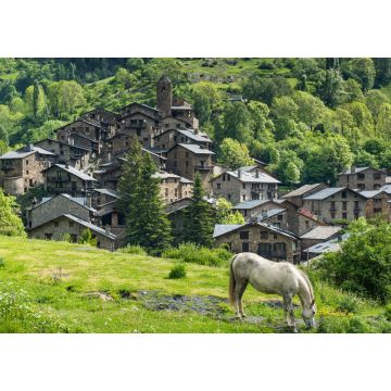 Lais Puzzle - Pferd auf der Weide vor einem Pyrenäendorf in Andorra - 1.000 Teile