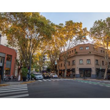 Lais Puzzle - Gebäude in Palermo Soho - Buenos Aires, Argentinien - 40, 100, 200, 500, 1.000 & 2.000 Teile