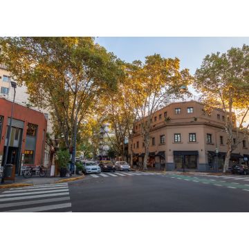 Lais Puzzle - Gebäude in Palermo Soho - Buenos Aires, Argentinien - 1.000 Teile