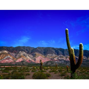 Lais Puzzle - Eine schöne Aussicht auf den Nationalpark Los Cardones, Salta, Argentinien - 40, 100, 200, 500, 1.000 & 2.000 Teile