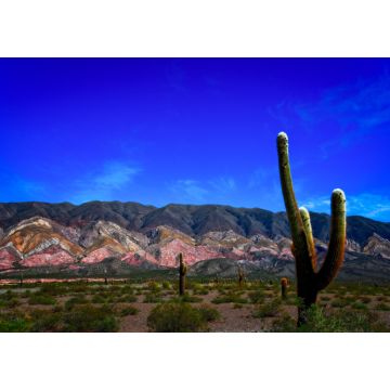 Lais Puzzle - Eine schöne Aussicht auf den Nationalpark Los Cardones, Salta, Argentinien - 1.000 Teile