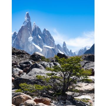 Lais Puzzle - Cerro Torre Trek, El Chalten, Patagonien, Argentinien - 40, 100, 200, 500, 1.000 & 2.000 Teile