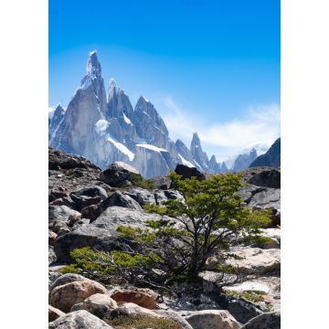 Lais Puzzle - Cerro Torre Trek, El Chalten, Patagonien, Argentinien - 1.000 Teile
