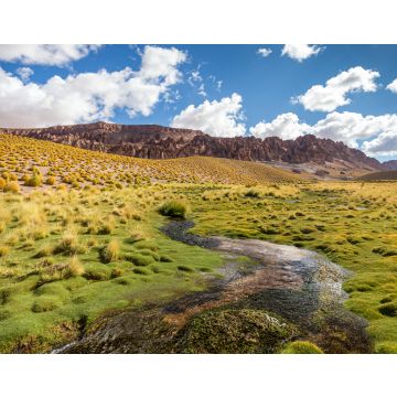 Lais Puzzle - Schöne Landschaft im Norden Argentiniens - 40, 100, 200, 500, 1.000 & 2.000 Teile