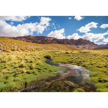 Lais Puzzle - Schöne Landschaft im Norden Argentiniens - 1.000 Teile