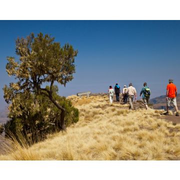 Lais Puzzle - Zona de Chennek, Montañas Simien, Äthiopien, Afrika - 40, 100, 200, 500, 1.000 & 2.000 Teile