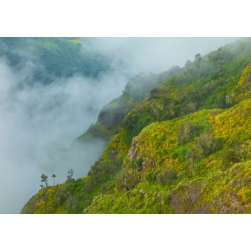 Lais Puzzle - Parque Nacional Montañas Simien, Äthiopien, Afrika - 1.000 Teile