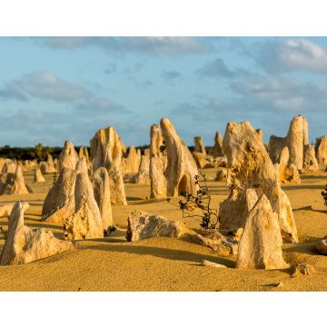 Lais Puzzle - Pinnacles Park in Westaustralien - 40, 100, 200, 500, 1.000 & 2.000 Teile