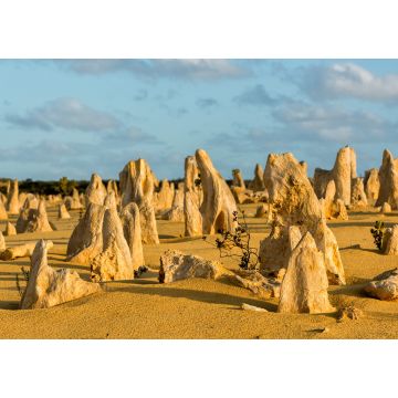 Lais Puzzle - Pinnacles Park in Westaustralien - 1.000 Teile