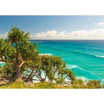 Lais Puzzle - Küstenlinie von Queensland - 1.000 Teile