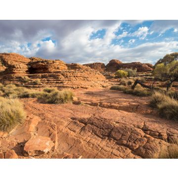 Lais Puzzle - Landschaft des Kings Canyon im australischen Bundesstaat Northern Territory - 40, 100, 200, 500, 1.000 & 2.000 Teile