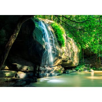 Lais Puzzle - Serenity Falls in Buderim, Sunshine Coast, Australien. Der Wasserfall befindet sich im Buderim Forest. - 1.000 Teile
