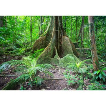 Lais Puzzle - Blick auf die Mossman-Schlucht - 1.000 Teile