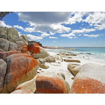 Lais Puzzle - Bay of Fires, Tasmanien, Australien - 40, 100, 200, 500, 1.000 & 2.000 Teile