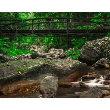 Lais Puzzle - Natürlicher Bridge Creek bei Springbrook in Queensland - 40, 100, 200, 500, 1.000 & 2.000 Teile