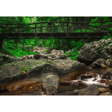 Lais Puzzle - Natürlicher Bridge Creek bei Springbrook in Queensland - 1.000 Teile