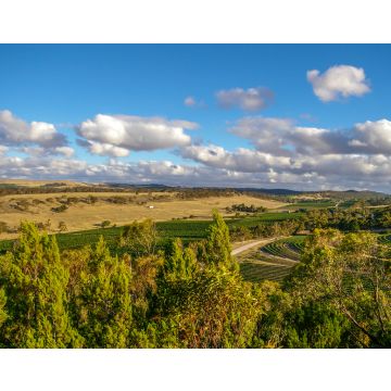 Lais Puzzle - Clare Valley im ländlichen Südaustralien ist eine Mischung aus Landwirtschaft und Weinbau - 40, 100, 200, 500, 1.000 & 2.000 Teile