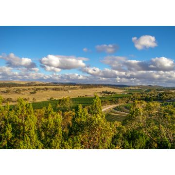 Lais Puzzle - Clare Valley im ländlichen Südaustralien ist eine Mischung aus Landwirtschaft und Weinbau - 1.000 Teile