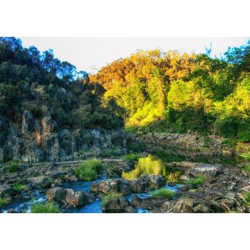 Lais Puzzle - Katarakt-Schlucht, Launceston, Tasmanien, Australien - 1.000 Teile