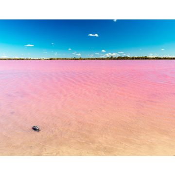 Lais Puzzle - Rosa See in Australien - 40, 100, 200, 500, 1.000 & 2.000 Teile