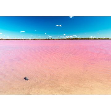 Lais Puzzle - Rosa See in Australien - 1.000 Teile