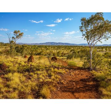 Lais Puzzle - Wanderung zum Aussichtspunkt Joffre Gorge im Karijini National Park, Westaustralien - 40, 100, 200, 500, 1.000 & 2.000 Teile