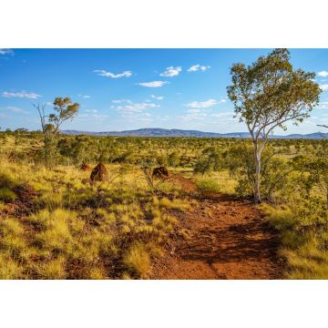 Lais Puzzle - Wanderung zum Aussichtspunkt Joffre Gorge im Karijini National Park, Westaustralien - 1.000 Teile
