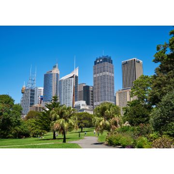 Lais Puzzle - Der Königliche Botanische Garten in Sydney - 1.000 Teile
