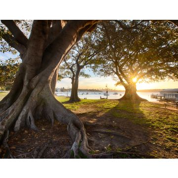 Lais Puzzle - Watsons Bay in der Nähe von Sydney, NSW, Australien - 40, 100, 200, 500, 1.000 & 2.000 Teile