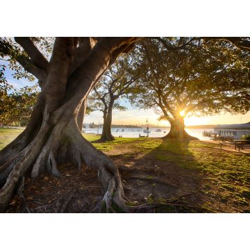 Lais Puzzle - Watsons Bay in der Nähe von Sydney, NSW, Australien - 1.000 Teile