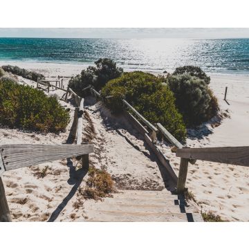 Lais Puzzle - Detail von Cottesloe Beach, einem der berühmtesten Strände in der Nähe von Perth - 40, 100, 200, 500, 1.000 & 2.000 Teile