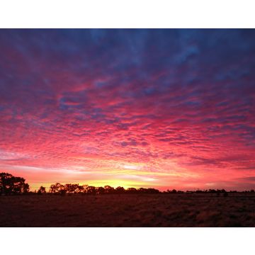 Lais Puzzle - Leuchtend rosa und violetter Himmel bei Sonnenuntergang in Zentral-Victoria, Australien - 40, 100, 200, 500, 1.000 & 2.000 Teile