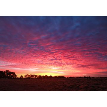 Lais Puzzle - Leuchtend rosa und violetter Himmel bei Sonnenuntergang in Zentral-Victoria, Australien - 1.000 Teile