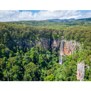 Lais Puzzle - Purling Brook Falls, Springbrook National Park, Queensland - 40, 100, 200, 500, 1.000 & 2.000 Teile