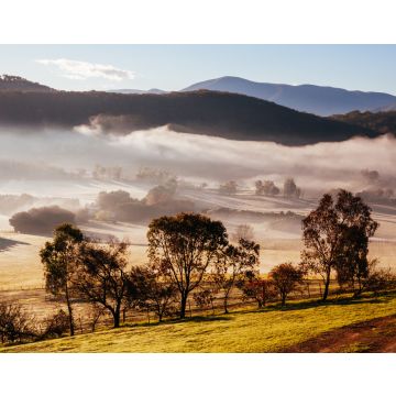 Lais Puzzle - Winterreben im Yarra Valley Australien - 40, 100, 200, 500, 1.000 & 2.000 Teile
