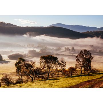 Lais Puzzle - Winterreben im Yarra Valley Australien - 1.000 Teile