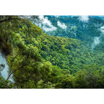 Lais Puzzle - Ein Panoramablick auf die Goomoolahra Falls und die Regenwaldkronen im Springbrook National Park, Queensland - 1.000 Teile
