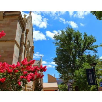 Lais Puzzle - Gebäude der Universität von Adelaide - 40, 100, 200, 500, 1.000 & 2.000 Teile