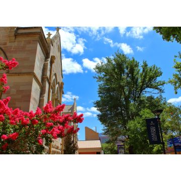 Lais Puzzle - Gebäude der Universität von Adelaide - 1.000 Teile