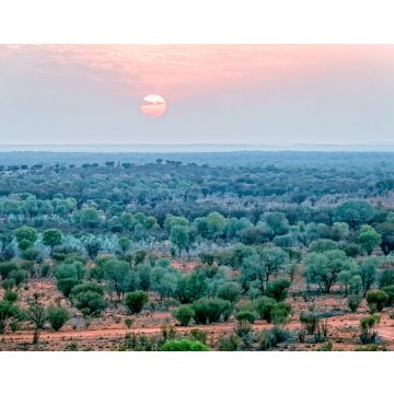 Lais Puzzle - Luftaufnahme vom Sonnenaufgang im Outback bei Alice Springs im Northern Territory Australien - 40, 100, 200, 500, 1.000 & 2.000 Teile