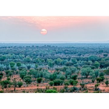 Lais Puzzle - Luftaufnahme vom Sonnenaufgang im Outback bei Alice Springs im Northern Territory Australien - 1.000 Teile