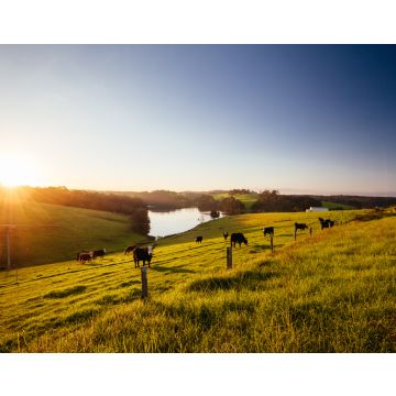 Lais Puzzle - Tilba Tilba Landschaft in Australien - 40, 100, 200, 500, 1.000 & 2.000 Teile