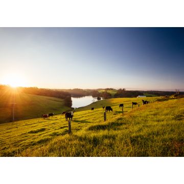 Lais Puzzle - Tilba Tilba Landschaft in Australien - 1.000 Teile
