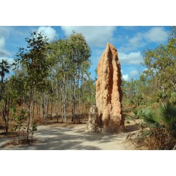 Lais Puzzle - Riesiger Termitenhügel im Litchfield NP, Northern Territory, Australien - 1.000 Teile