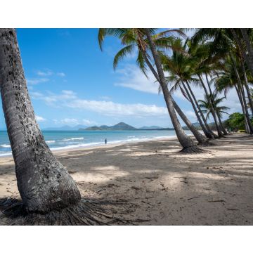 Lais Puzzle - Bäume am Strand unter blauem Himmel an einem sonnigen Tag in Cairns Cape Tribulation, Australien - 40, 100, 200, 500, 1.000 & 2.000 Teile