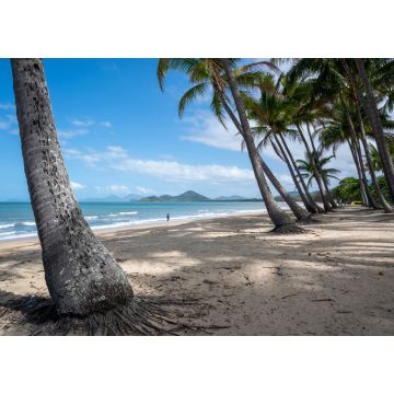 Lais Puzzle - Bäume am Strand unter blauem Himmel an einem sonnigen Tag in Cairns Cape Tribulation, Australien - 1.000 Teile